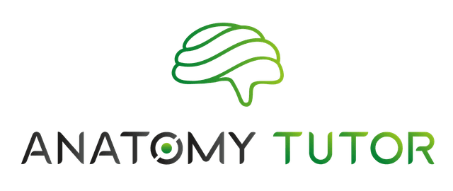 Anatomy Tutor